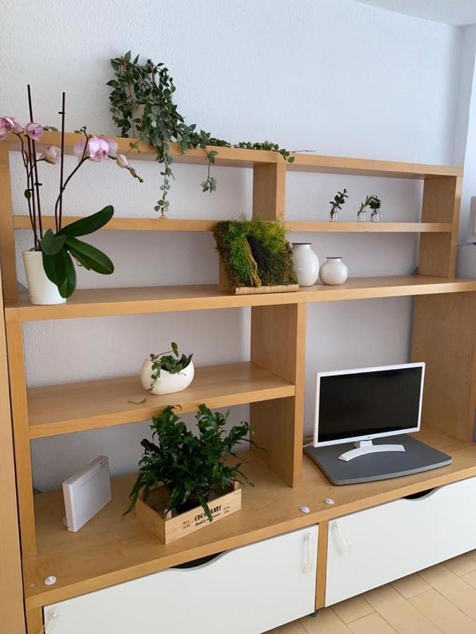 פואנגירולה Estudio Soleado Y Bien Ubicado מראה חיצוני תמונה
